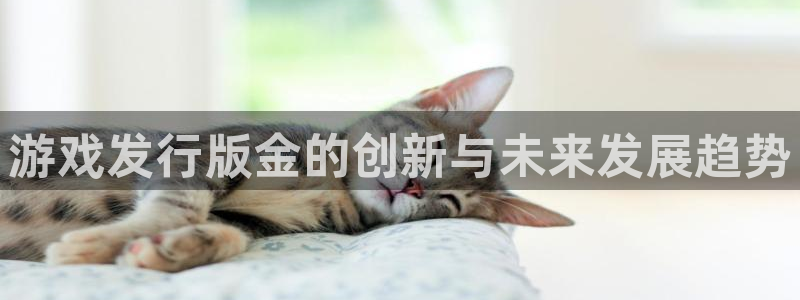 新城平台注册网址
