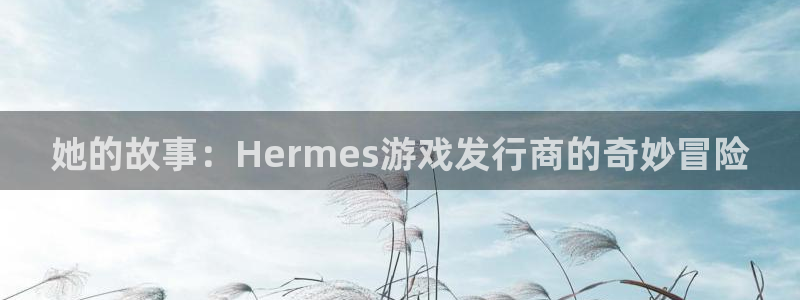 新城平台登录入口官网网址查询