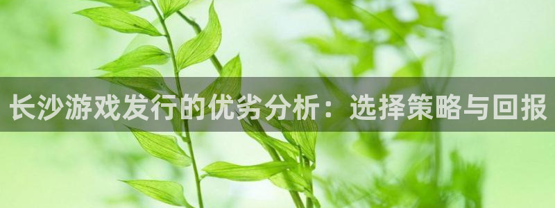 新城平台注册登录地址