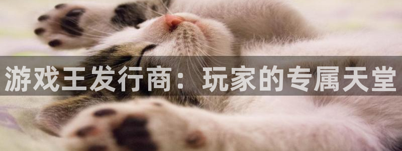 新城平台登录入口官网