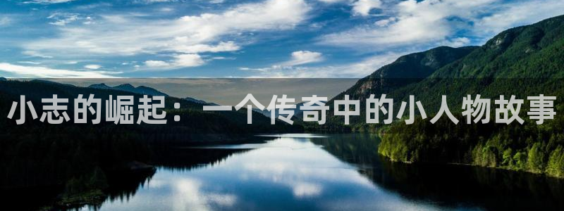 新城平台登录入口官网下载app
