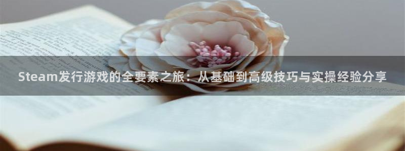 新城平台是干嘛的公司有哪些