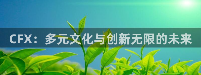 新城平台登录密码忘了怎么办