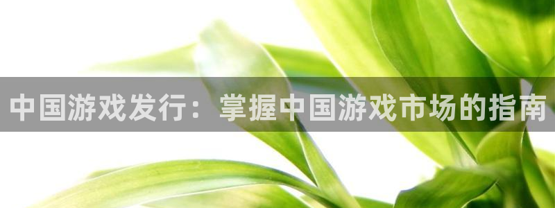 新城平台注册登录地址：中国游戏发行：掌握中国游戏市场的指南
