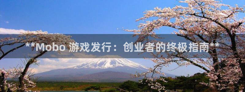 新城平台代理怎么样：**Mobo 游戏发行：创业者的终极指南**