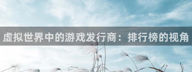 新城平台公司：虚拟世界中的游戏发行商：排行榜的视角