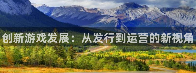 新城平台线路登录不上去怎么回事呢：创新游戏发展：从发行到运营的新视角