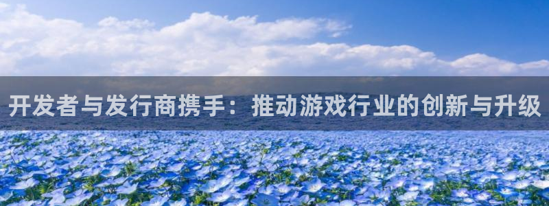 新城平台登陆：开发者与发行商携手：推动游戏行业的创新与升级