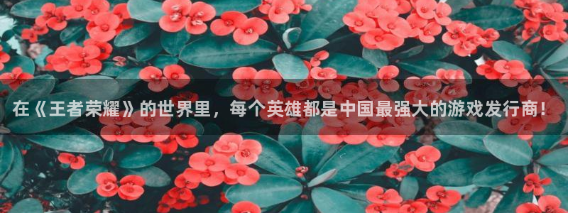 新城平台登录密码忘了怎么改：在《王者荣耀》的世界里，每个英雄都是中国最强大的游戏发行商！
