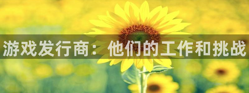 新城平台登录入口官网下载手机版：游戏发行商：他们的工作和挑战