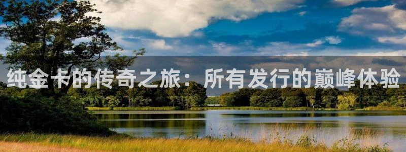 新城平台一新城注册：纯金卡的传奇之旅：所有发行的巅峰体验