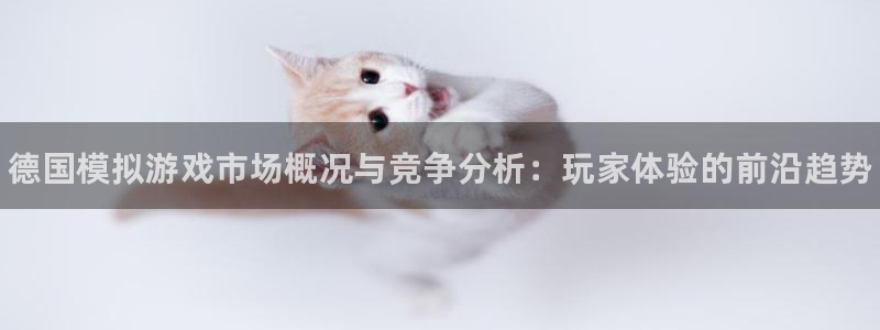 新城平台官网首页入口：德国模拟游戏市场概况与竞争分析：玩家体验的前沿趋势