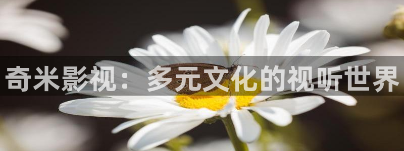 理论片迅播影院