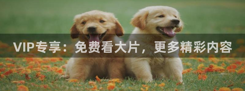 迅播影院vip