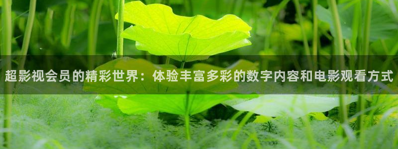 迅播影院手机版