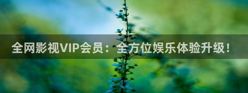 爱迅播影院
