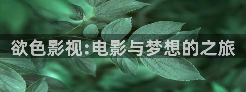 迅播影院手机版