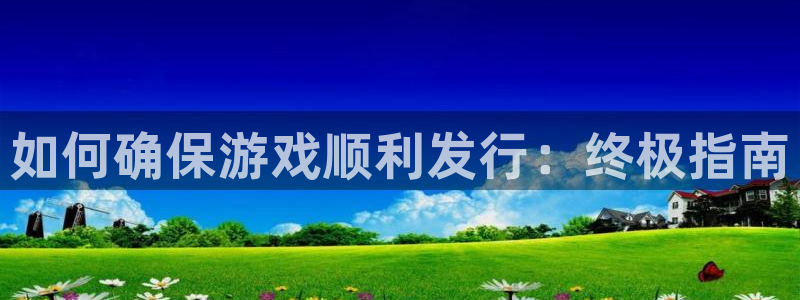 新城平台代理注册条件：如何确保游戏顺利发行：终极指南